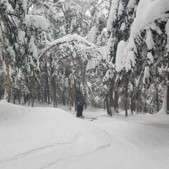 Meet your Posher, Kyle - Picture 1 of 1